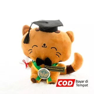 Boneka Wisuda Cat Choco Kucing Kado Wisudaku