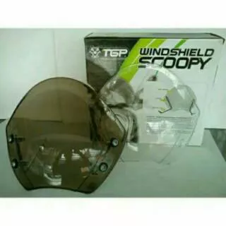 Windshield scoopy