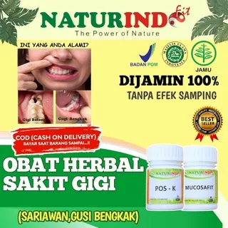 Obat Herbal Gusi Bengkak Nyeri Gigi Sakit Gigi Bengkak Gusi Herbal naturindo Posk Ampuh COD