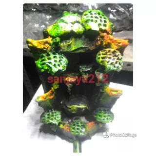 miniatur air terjun aquascape / tebing akuarium aquarium harga Terjangkau