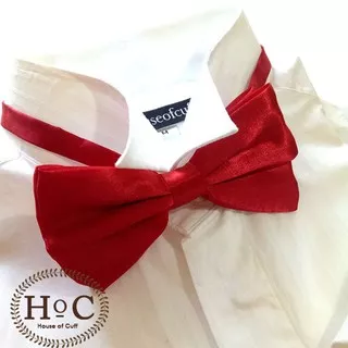 BOWTIE DASI KUPU POLOS MOTIF WEDDING BEST MEN SATIN DARK RED BOW TIE