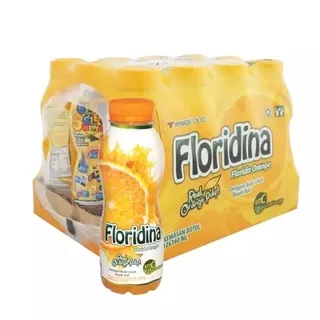 FLORIDINA ORANGE 350ML X 12 BOTOL - 1 DUS