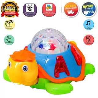 COD Mainan Anak Kura Kura Lucu Cute Lampu Musik Happy Turtle Keren KADO BAYI TERBARU