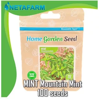 Benih/ bibit / biji MINT Mountain Mint 100 Seeds - Home Garden Seeds