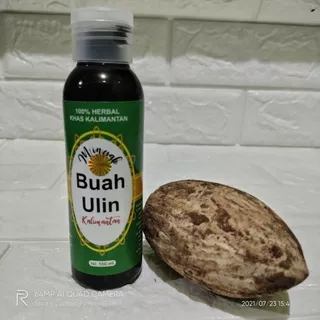 Minyak Buah Ulin Isi 100 Ml .minyak rambut buah ulin . obat anti uban alami