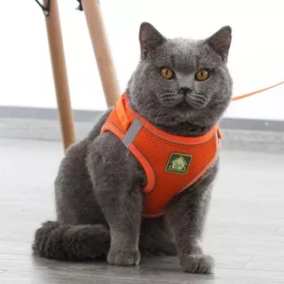 Harness Anjing Rompi  Merk Love Has Support Ada Reflector Lampu Menyala Kena Cahaya Original Vest Harness Dog Harness Harness Kucing Pet Dog Rompi HARNESS + Tali Tuntun |RompI Pet Murah | CAT DOG LEASH