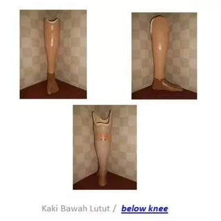 Below knee / kaki palsu bawah lutut