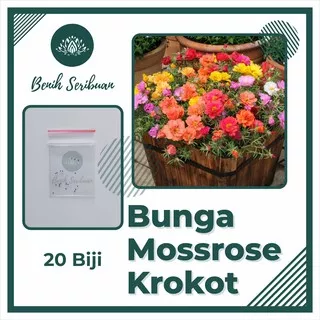 Bibit Bunga : 20 Benih Mossrose Mix Krokot Tanaman Hias Moss Rose Portulaca Mix Import Premium Seed