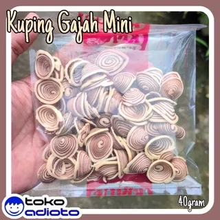 Kuping Gajah Mini / Kupung Gajah Kecil / Kuping Gajah Putih