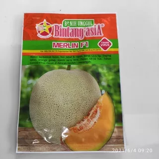 Benih Melon MERLIN F1 isi 20 gr dari BINTANG ASIA