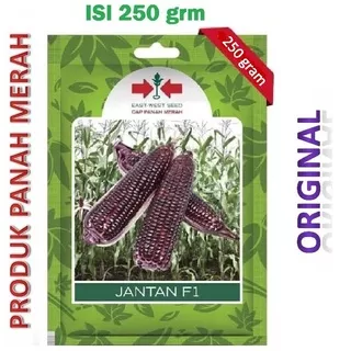 Benih Jagung Ungu Jantan F1 Isi 250 Gram - Cap Panah Merah