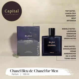 Chanel De Bleu Parfum Pour Homme 100 ml