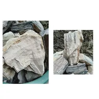 batu  aquascape kayu fosil per 1 kg