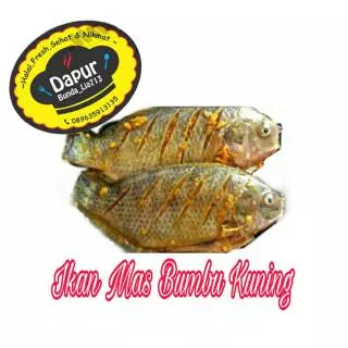 Ikan Mas Bumbu Kuning siap Goreng/Bakar-Masakan Rumah/Dapur Bunda_Lia713