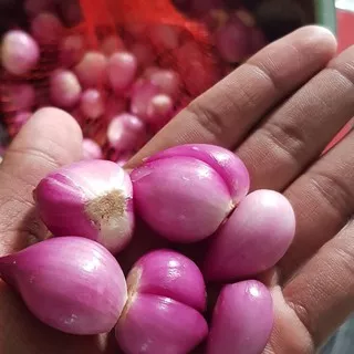 Bawang Merah Kupas