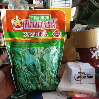 Benih Kacang Panjang KATRINA