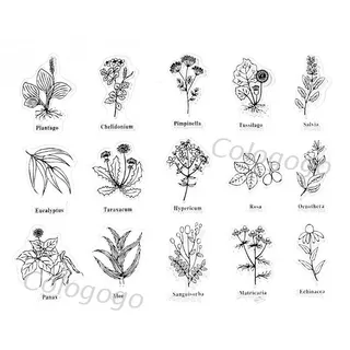 COLO Leaves Transparent Silicone Clear Rubber Stamp Cling Diary Scrapbooking DIY