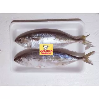 Ikan kembung banjar 1 kg