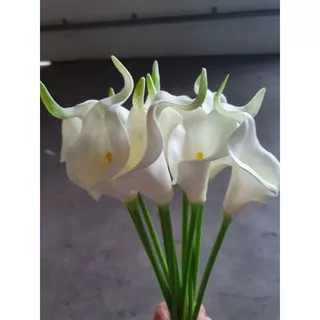 (satuan) Bunga Calla Lily latex / calla lily palsu / bunga calla lily artificial