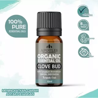 Clove Bud Pure Essential Oil - Minyak Aromaterapi Biji Cengkeh Clove Bud Essential Oil 10ml