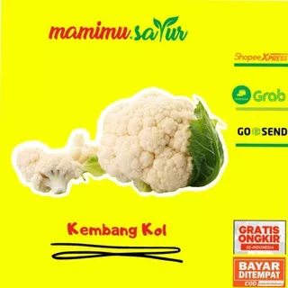 SAYUR SAYURAN SEGAR FRESH KEMBANG KOL BUNGA KOL KUBIS LOBAK - 1 KG