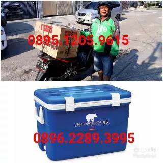 Boks Es - Cooler Box Antartica 55 liter Lion Star Khusus gojek Shopee instant