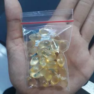 Minyak ikan curah / fish oil