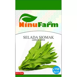Benih Selada Siomak/Chinese Lettuce 150Seeds