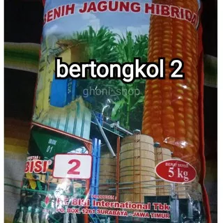 benih jagung hibrida bisi 2 kemasan 5kg bibit jagung bisi 2