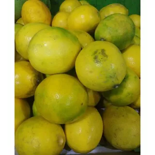 lemon California lokal segar 500 gram