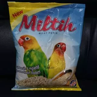 Miltih milet putih lovebird/miltih lovebird/miltih