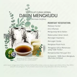 Teh Celup Herbal Daun Mengkudu Cangkudu Pace Noni Morinda