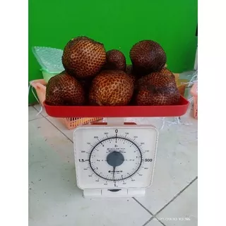 Salak Pondoh 1kg Asli Pronojiwo Lumajang/Salak Manis/Salak Pondoh Petik Pohon