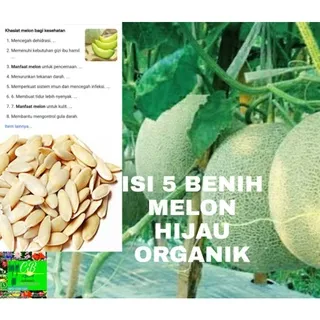 melon hijau organik/5 benih melon hijau