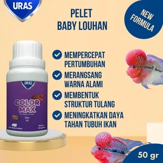 Pakan Pelet Ikan untuk Warna with Spirulina for Baby Lohan Louhan Kamfa Cencu Bonsai SRD Ori Thailand