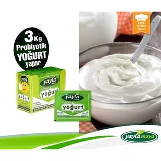 Yogurt Starter | Biang Yoghurt Probiotik from TURKEY 1 gram #yogurt #biangyogurt