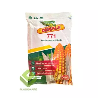 Benih Jagung DK 771 1kg - Bibit Jagung Hibrida Dekalb DK771 - Jagung Tahan Penyakit Bulai