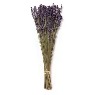 50 Pcs Dried Lavender Flower Purple Natural