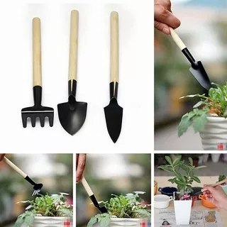 Mini Shovel Rake Garden Plant Tool Set 3pcs With Wooden Handle