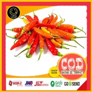 Cabe Rawit Merah 1kg Cabe Lombok Cengek Domba Cengek Jablay Cengek Jablai Kwalitas Super Sayuran Segar Sayuran Fresh Sayuran Organik Sayuran Online Terlaris