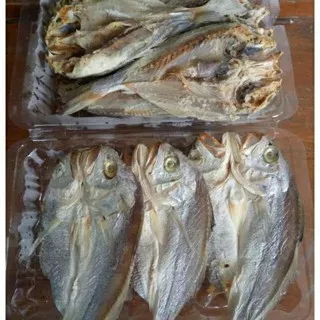 Ikan Asin Samge / Ikan Asin Kepala Batu / Per Pcs