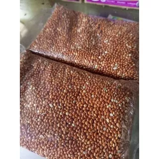 MILET MERAH BIJI MILET MERAH 1KG MAKANAN BURUNG