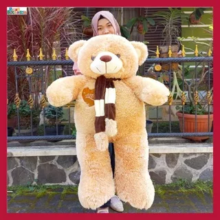 Kado Ulang Tahun Anniversary Istri Anak Sahabat Pacar Remaja Perempuan Cewek Putri Boneka Jumbo Besar Teddy Bear Beruang Caramel Syal Telapak 1 Meter Bungkus Kado