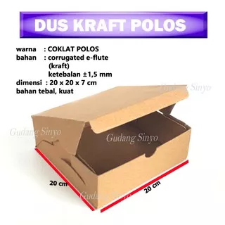 Kotak Nasi / Kotak Coklat / Dus Nasi Kraft Warna Coklat Polos atau Motif
