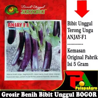 isi ±1250 Biji - benih terong ungu F1 ANJAY 5gram  | bibit terong ungu unggul