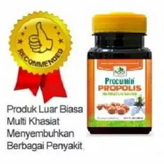 Procumin propolis