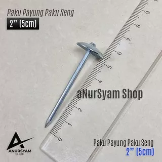 Paku Payung Seng Asbes 2 5 cm Isi 50 Pcs 200 Gram Paku Seng Atap Asbes