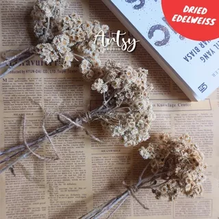 Bunga Kering Rustic / Dried Flower / Buket Bunga / Bunga Hiasan Hantaran