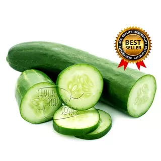 SAYURMAYURSEGAR TIMUN LOKAL / KETIMUN SEGAR FRESH 1 KG (SAYUR CURAH)