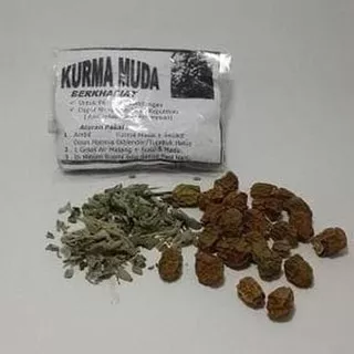 Kurma Muda Kering